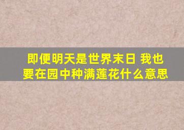 即便明天是世界末日 我也要在园中种满莲花什么意思
